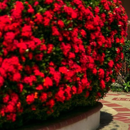 Hosteria Tonusco Campestre Санта-Фе-де-Антьокия Экстерьер фото